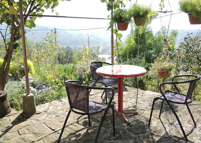 Rita Daire Portorož