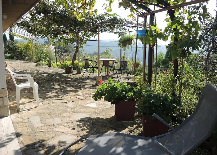 Rita Daire Portorož