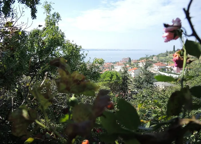 Rita Daire Portorož